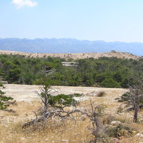 Rab island Croatia - Goli otok (‘Naked Island’)