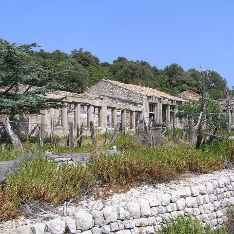 Sveti Grgur (St George) island - Croatia