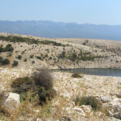  Goli otok (‘Naked Island’) -  Rab island Croatia