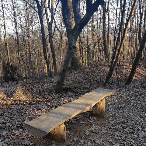 A simple Bench seat by footpath in the woods