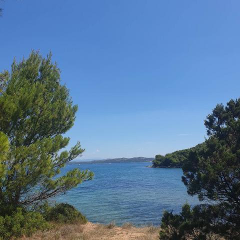 Adriatic sea bay view through the frame of green tree branches