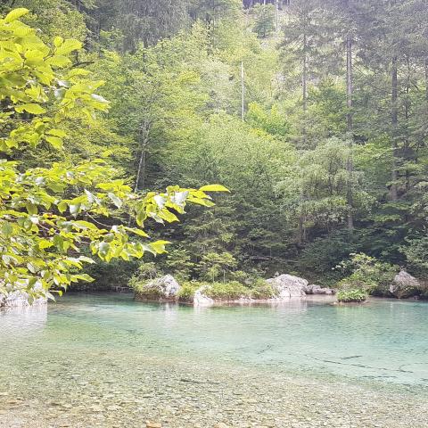 Kamniška Bistrica Valley