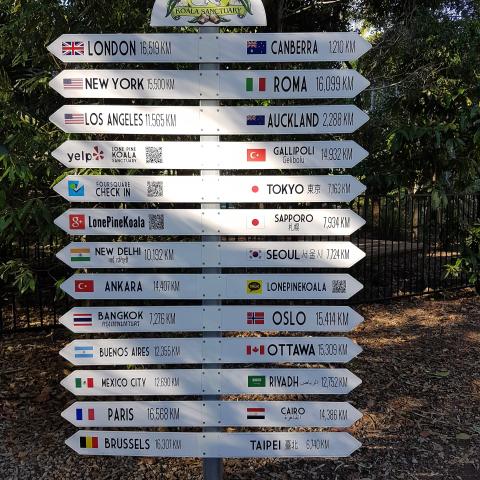 World Traveler Signpost