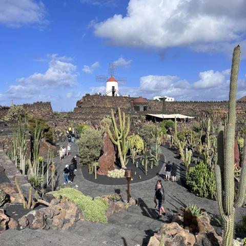 What is so special about Lanzarote?