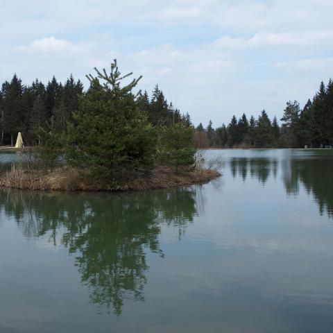 Free stock photos - A beautiful small lake BLOKE