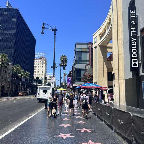 The Hollywood Walk of Fame