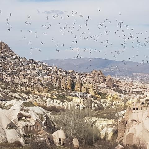 Cappadocia Pigeon Valley