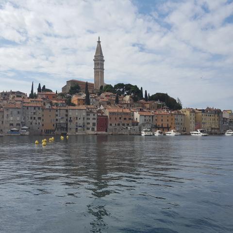  Rovinj City panorama - stock photo