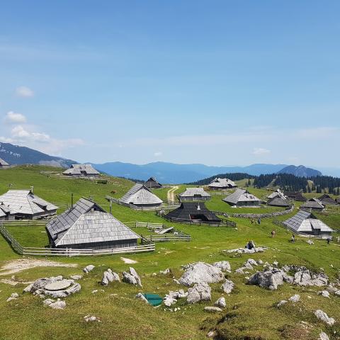  Velika Planina Slovenia