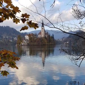 The Bled island in Slowenia - free photos
