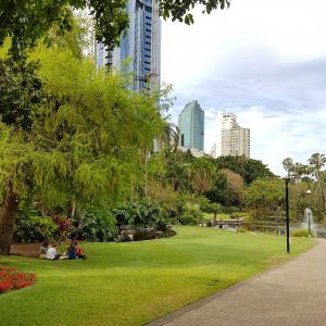 Free photos - Brisbane city park