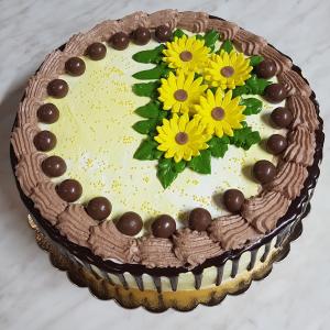  Cake birthday