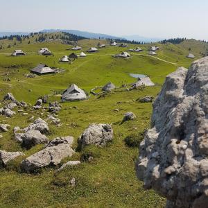  Mountain pastures on Velika Planina