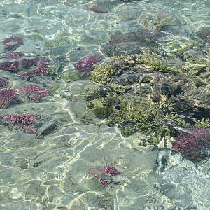 Sharm El Sheikh Egypt  - Crystal clear sea water