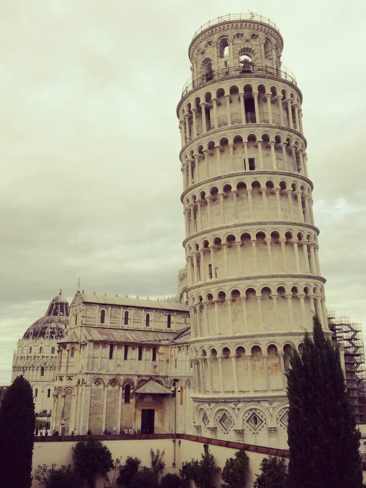 Tower of Pisa (Italian Torre pendente di Pisa) free